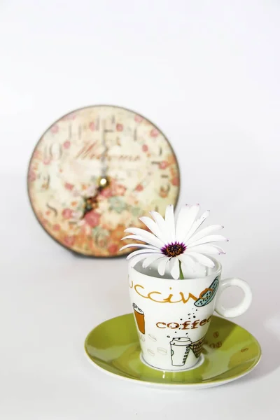 Coffee pot on a green saucer, decorative patterned clock and white daisy flower on a white background — Stock Photo, Image