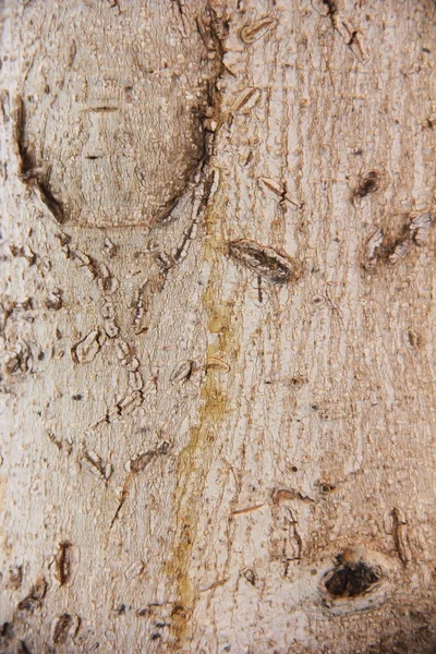 A régi fa repedéseket, foltokat és mintákat tartalmazó felületének textúrája — Stock Fotó