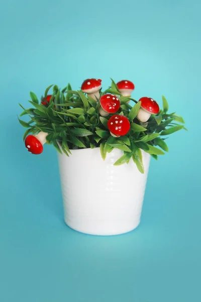 Setas de setas ornamentales rojas no comestibles sobre hojas verdes — Foto de Stock