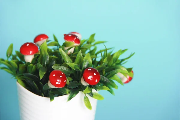 Setas de setas ornamentales rojas no comestibles sobre hojas verdes — Foto de Stock