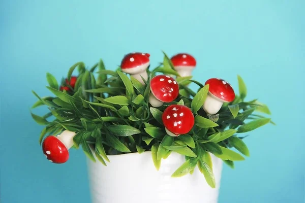 Cogumelos de toadstool ornamentais não comestíveis vermelhos em folhas verdes — Fotografia de Stock
