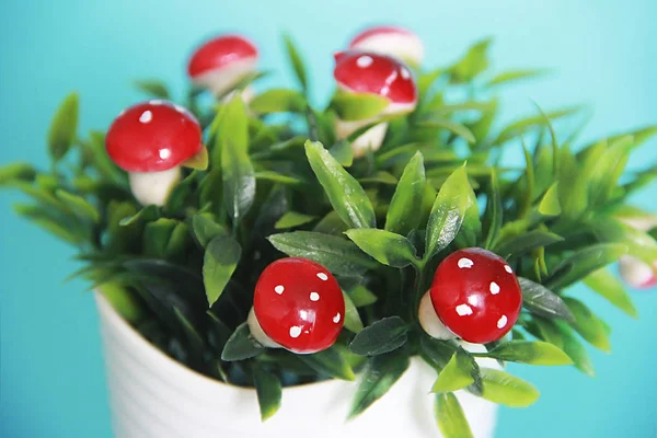 Setas Setas Ornamentales Rojas Comestibles Sobre Hojas Verdes — Foto de Stock