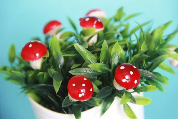 Setas de setas ornamentales rojas no comestibles sobre hojas verdes — Foto de Stock
