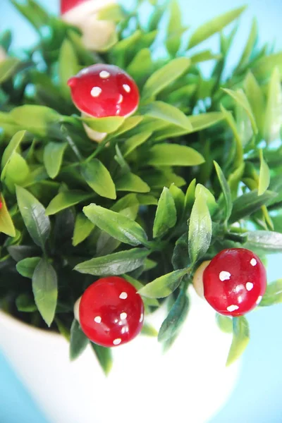 Červeně nejedlé ozdobné housky muchomůrku na zelených listech — Stock fotografie
