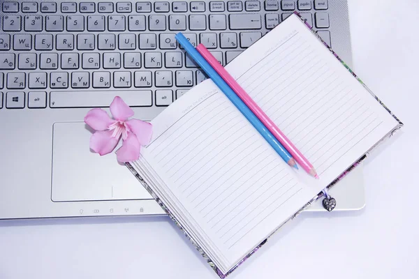 Notebook voor Business, roze en blauwe potloden en laptop-computersleutels — Stockfoto
