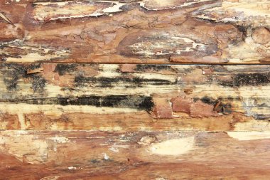 çatlaklar, lekeler ve çizikler ile sarı kahverengi ahşap tahta doku