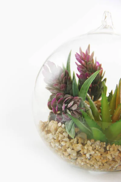 Florario redondo de vidrio con plantas verdes y piedras para el diseño sobre fondo blanco — Foto de Stock