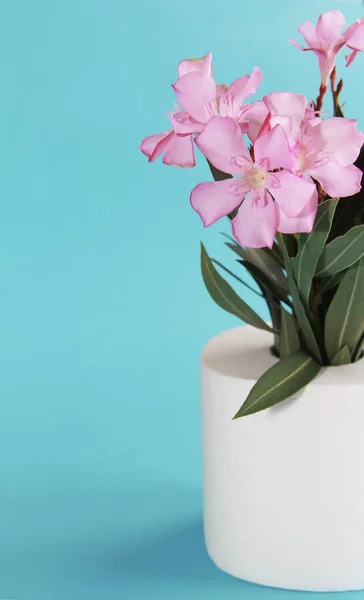 Rollo de papel higiénico y flores rosadas sobre un fondo azul — Foto de Stock