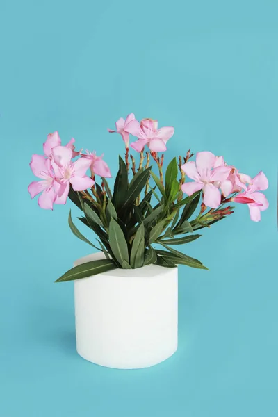 Papel higiênico rolo e flores rosa em um fundo azul — Fotografia de Stock