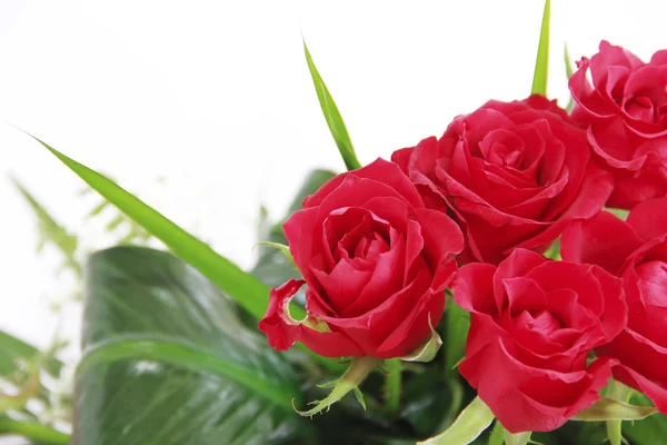 緑の葉と赤い自然のバラの装飾的な花束 — ストック写真