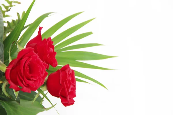 Dekoracyjny bukiet czerwonych naturalnych róż z zielonymi liśćmi — Zdjęcie stockowe