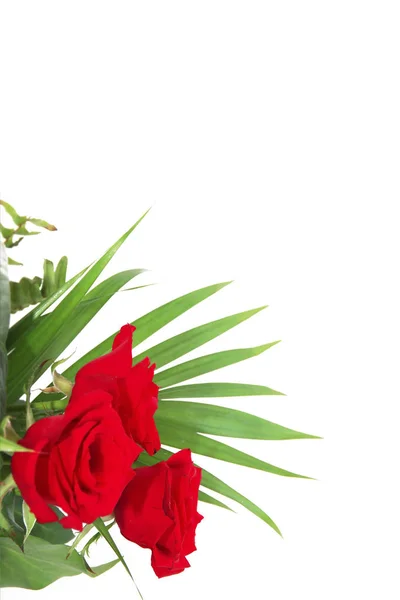Piros természetes Rózsa dekoratív csokor zöld levelekkel — Stock Fotó