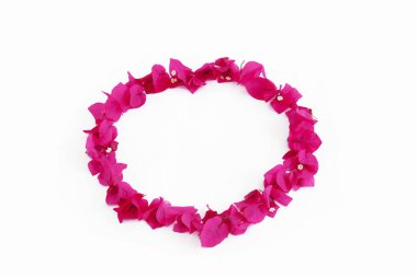 pembe doğal begonviller çiçek yuvarlak dekoratif çerçeve