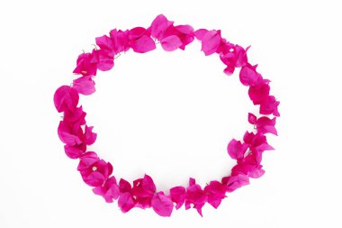 pembe doğal begonviller çiçek yuvarlak dekoratif çerçeve