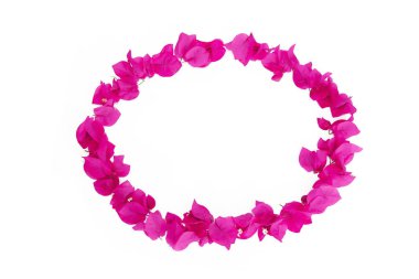 pembe doğal begonviller çiçek yuvarlak dekoratif çerçeve