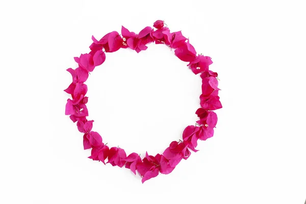 圆形装饰框架的粉红色天然布加维利亚花 — 图库照片