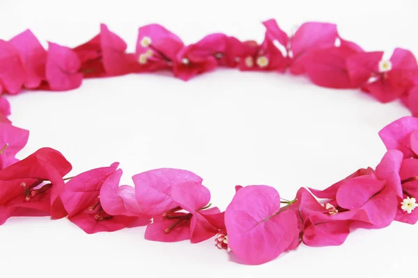 Runder dekorativer Rahmen aus rosa natürlichen Bougainvillea-Blüten — Stockfoto