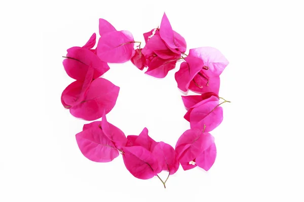 Runder dekorativer Rahmen aus rosa natürlichen Bougainvillea-Blüten — Stockfoto