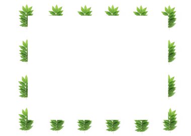 dekoratif yaz çerçeveleri, beyaz bir arka plan üzerinde doğal yeşil yaprakların kolaj