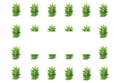 dekoratif yaz çerçeveleri, beyaz bir arka plan üzerinde doğal yeşil yaprakların kolaj