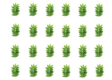 dekoratif yaz çerçeveleri, beyaz bir arka plan üzerinde doğal yeşil yaprakların kolaj