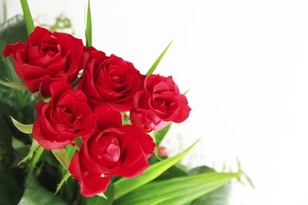 Ramo decorativo de rosas rojas naturales con hojas verdes a — Foto de Stock