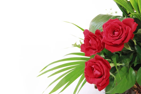 Decorative bouquet of red natural roses with green a leaves — Stock Photo, Image