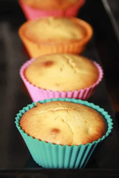 Bolinhos de biscoito assados com passas em moldes de silicone multicoloridos — Fotografia de Stock