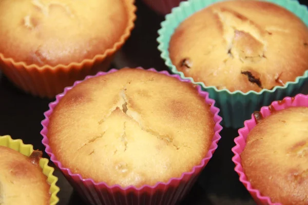 Gebakken biscuit muffins met rozijnen in veelkleurige siliconen mallen — Stockfoto