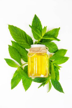 Dekoratif şişede nane yağı ve yeşil nane yaprakları.