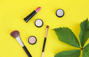 Dekoratif kozmetik, göz farı, ruj makyajı fırçalar.