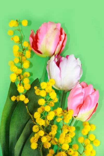 Las Flores Tulipanes Rosados Ramas Amarillo Mimosa — Foto de Stock