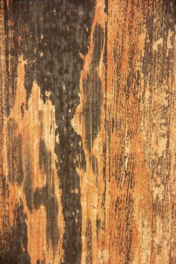 Siyah çizgileri olan doğal turuncu ahşap doku.