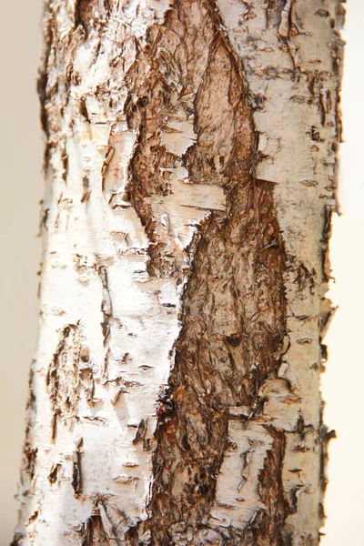 Textura Madeira Marrom Natural Com Uma Rachaduras — Fotografia de Stock