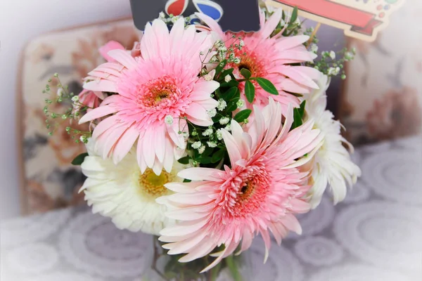 Strauß Natürlicher Weißer Und Rosa Chrysanthemen — Stockfoto