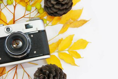 Lens ve sarı yapraklı klasik kamera.