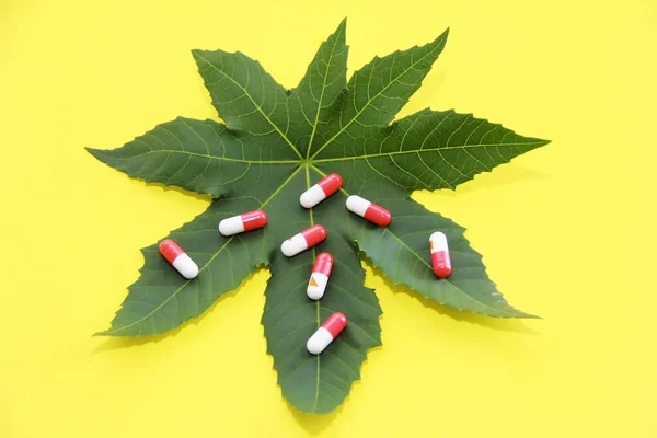 Red Medical Capsules Green Leaf Plant — Stock Photo, Image