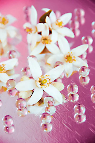 Flores Color Naranja Blanco Perlas Vidrio — Foto de Stock