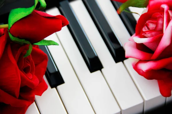 白色黑色钢琴钥匙和红玫瑰 — 图库照片