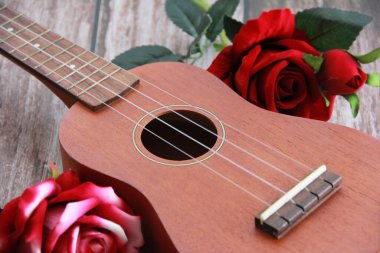 gitarın telleri ve kırmızı gül