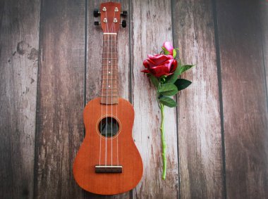 gitarın telleri ve kırmızı gül