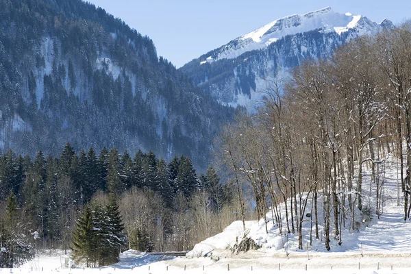 Alpenroute Oostenrijkse Piek Wordt Gezien Achtergrond — Stockfoto