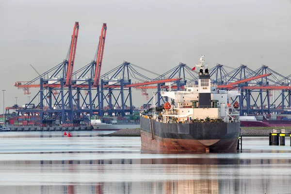 Containerterminal Haven Bij Avondschemering — Stockfoto