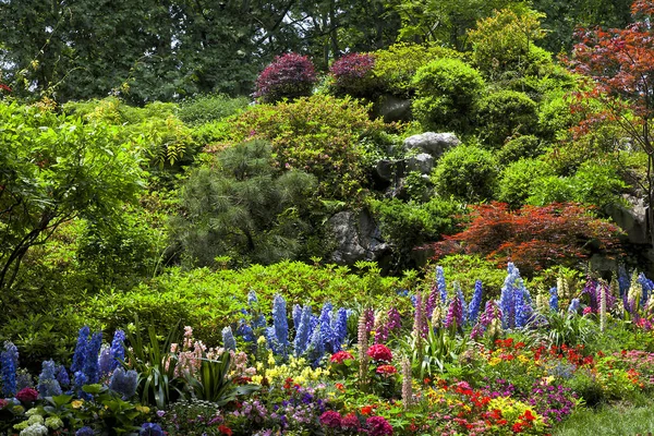 Βοτανική Κήπο Λουλούδια Την Άνοιξη — Φωτογραφία Αρχείου