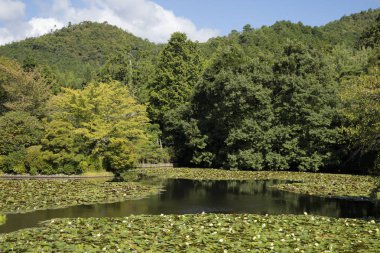 Parkgate, Bahçe sahne