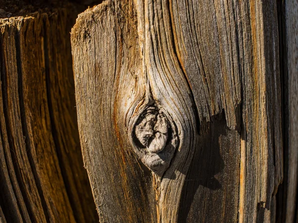 Old wood texture and Natural wood surface.Beautiful natural wooden background