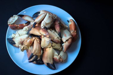 Atlantic Coast içinde belgili tanımlık siyah geçmiş bir tabakta gelen yengeç pençeleri