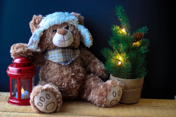 Cute toy bear holding a paw on a red lantern on a black background. In the frame, you can see a small Christmas tree with ornaments.