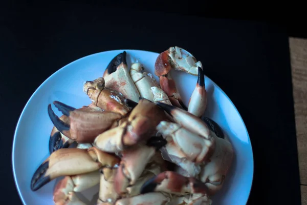 Crab Claws Atlantic Coast Plate Black Background — Stock Photo, Image