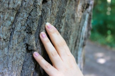 Eski ağaç kabuğu dokunmatik parmak hafif dis odakta fotoğraflandı. İnsan ve doğa arasındaki bağlantıyı simgeleyen.